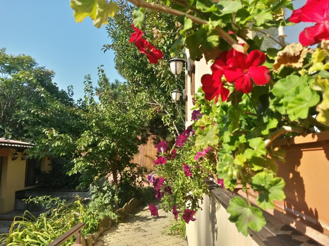 Casa Mica Guesthouse Bukarest Eksteriør billede