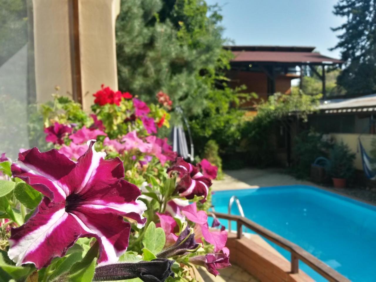 Casa Mica Guesthouse Bukarest Eksteriør billede