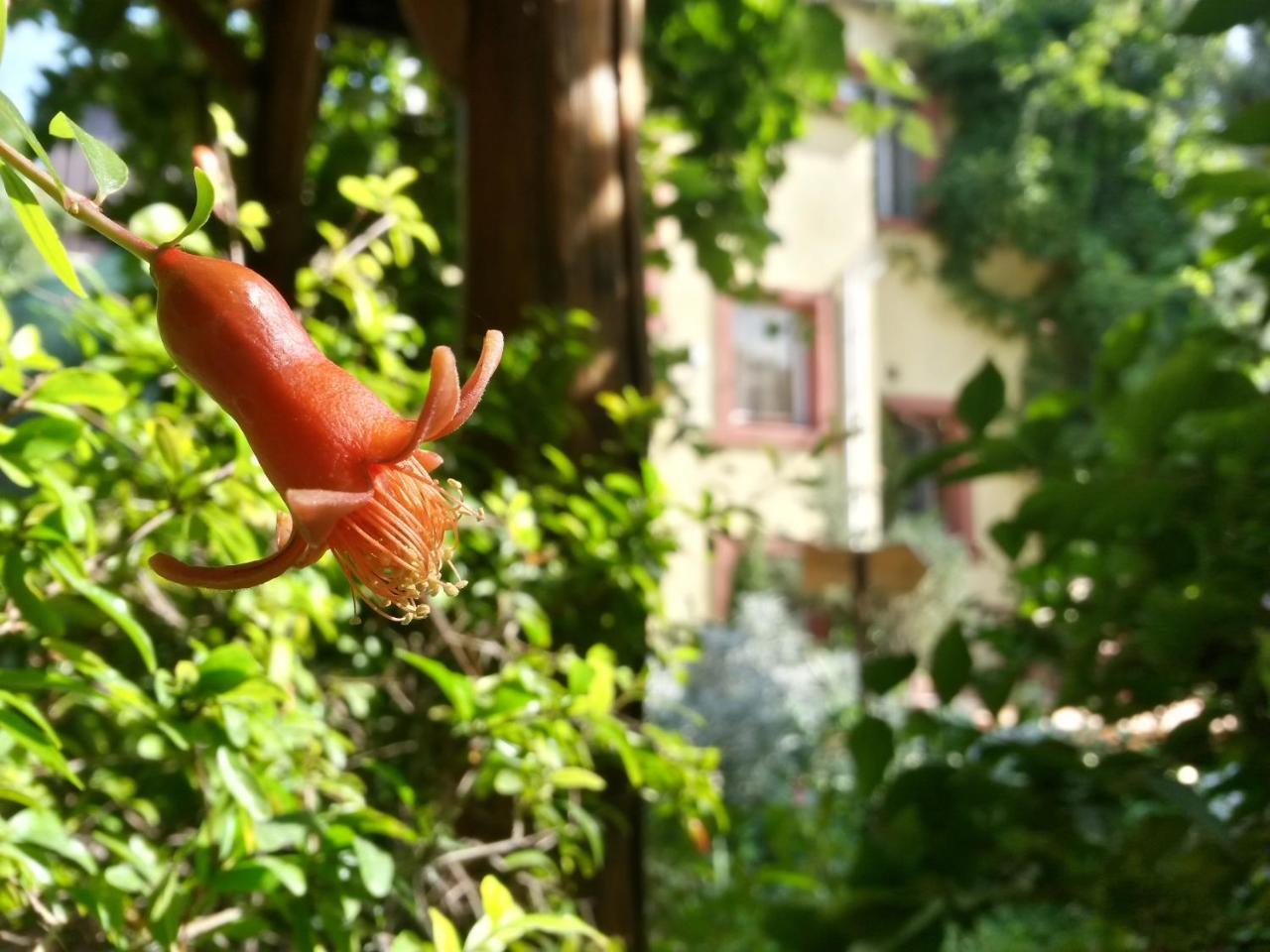 Casa Mica Guesthouse Bukarest Eksteriør billede