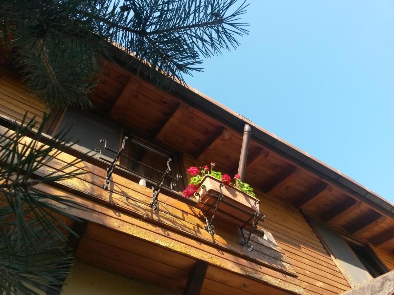 Casa Mica Guesthouse Bukarest Eksteriør billede
